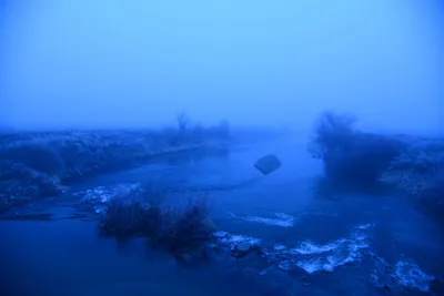 DSC_1070 (Large).JPG